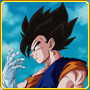 Vegetto Sample